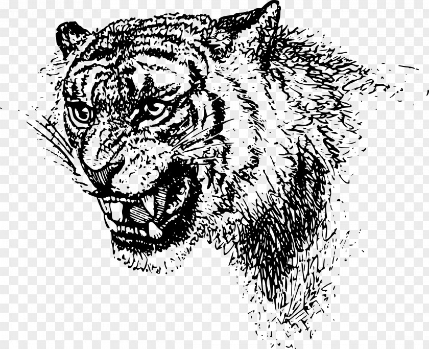 Tiger Head Felidae Lion Clip Art PNG