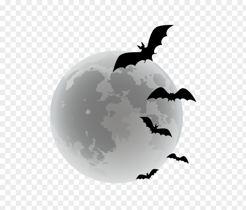 Vector Cartoon Bats Bat Halloween PNG