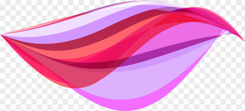 Vector Graphics Color Wave Shape Euclidean Illustration PNG