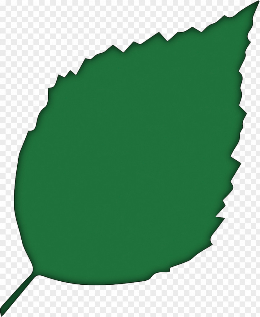 Bottle Cap Logo Green Leaf Clip Art Plant PNG