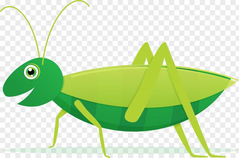 Grasshopper Stock Photography Royalty-free Clip Art PNG