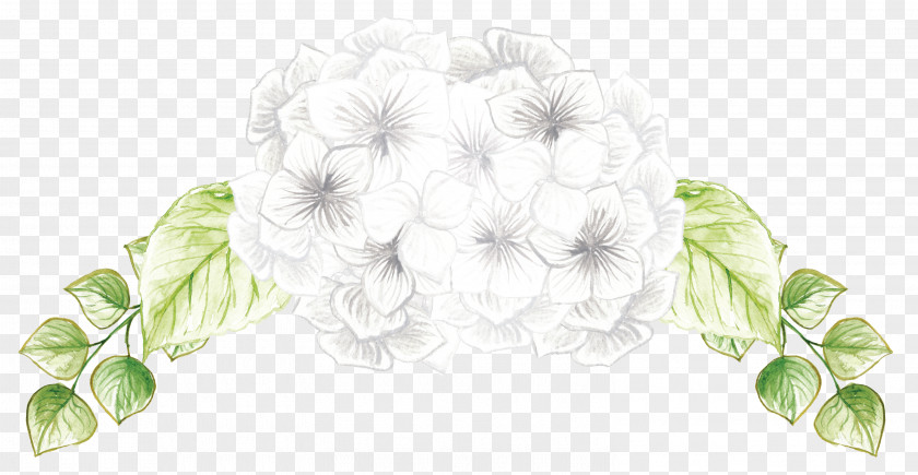 Hand-painted Flowers PNG