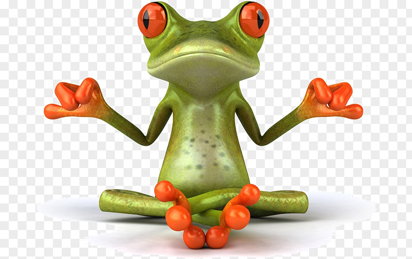 Humor Frog Desktop Wallpaper Stock Illustration Image Amphibians PNG