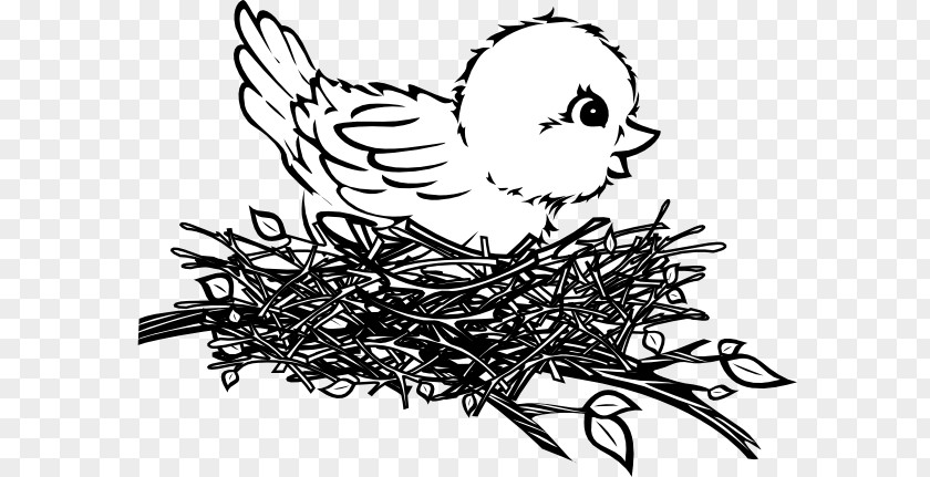 Nest Cliparts Bird Drawing Clip Art PNG