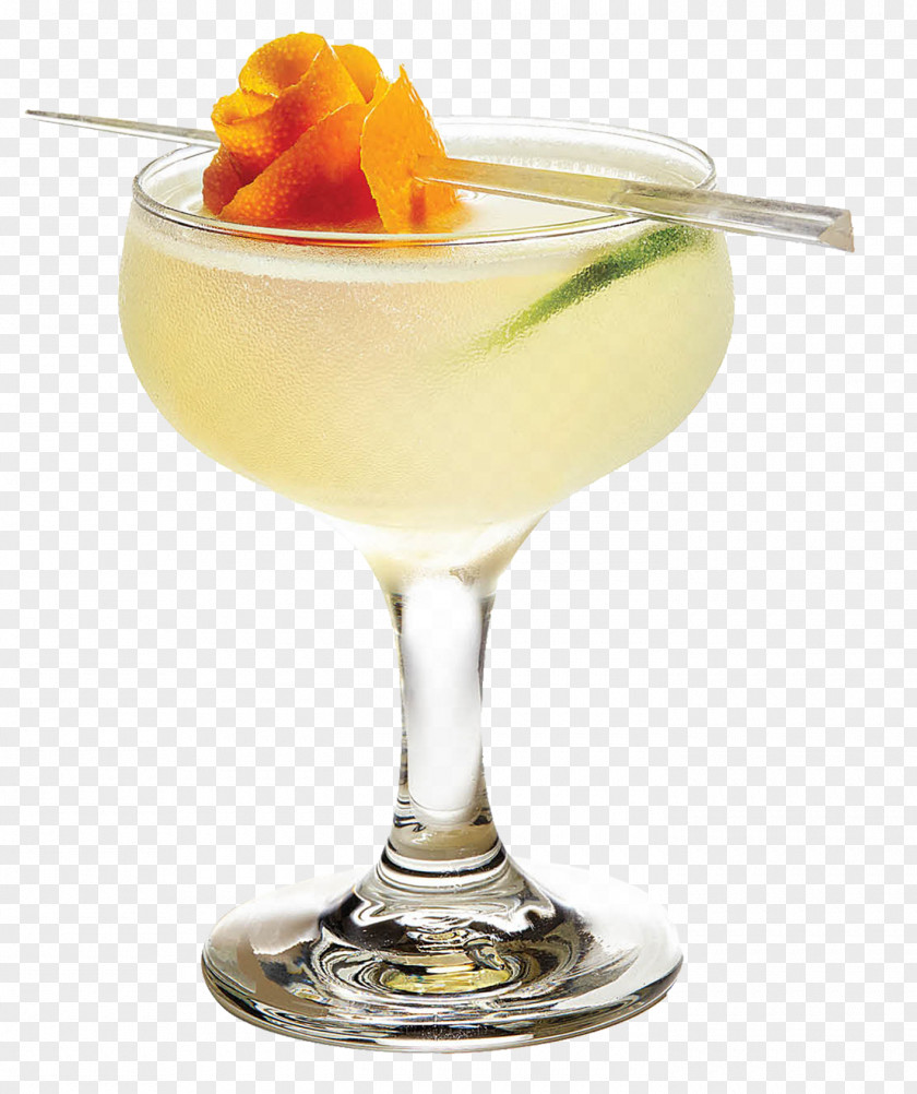 Summer Drinks Martini Cocktail Garnish Harvey Wallbanger Daiquiri Batida PNG