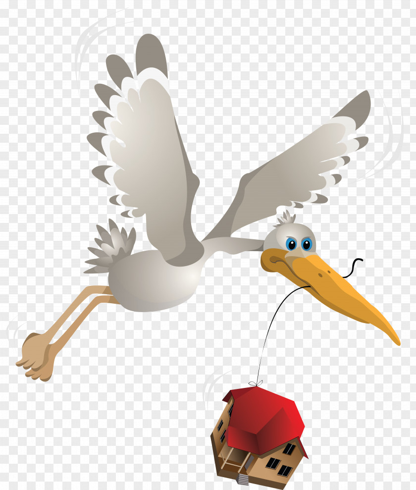 Bird Mute Swan Clip Art PNG