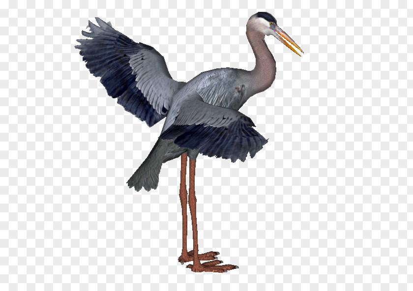 Crane Great Blue Heron White Stork PNG