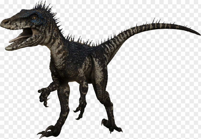 Jurassic World Deinonychus Albertosaurus Velociraptor Spinosaurus Deinosuchus PNG