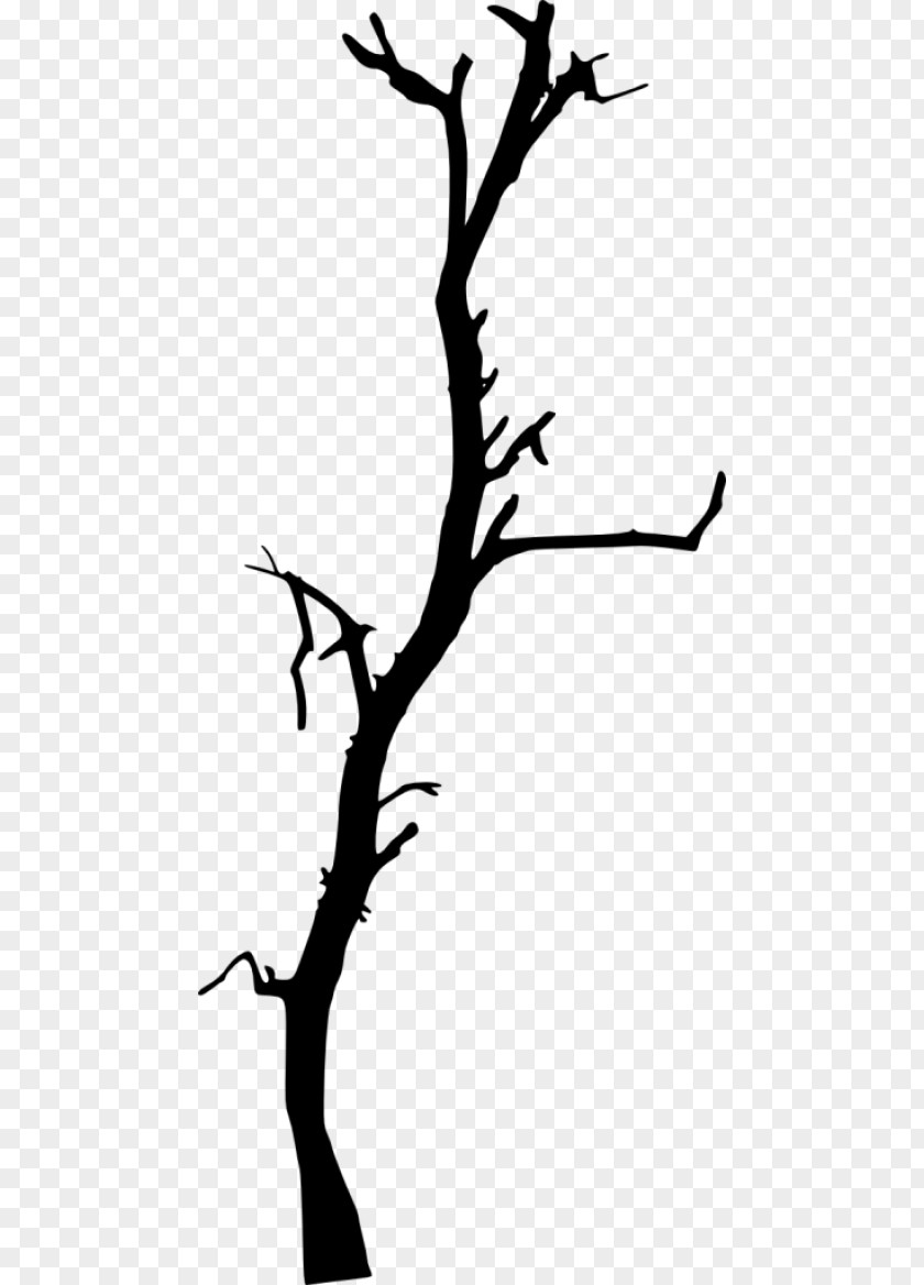 Line Art Blackandwhite Oak Tree Drawing PNG