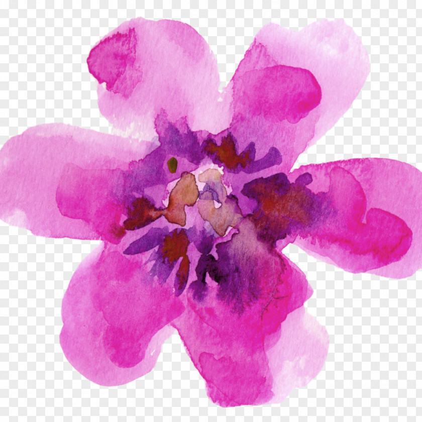 Painting Watercolour Flowers Watercolor Drawing Paper PNG