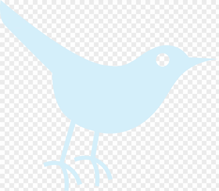 Bird Clip Art PNG