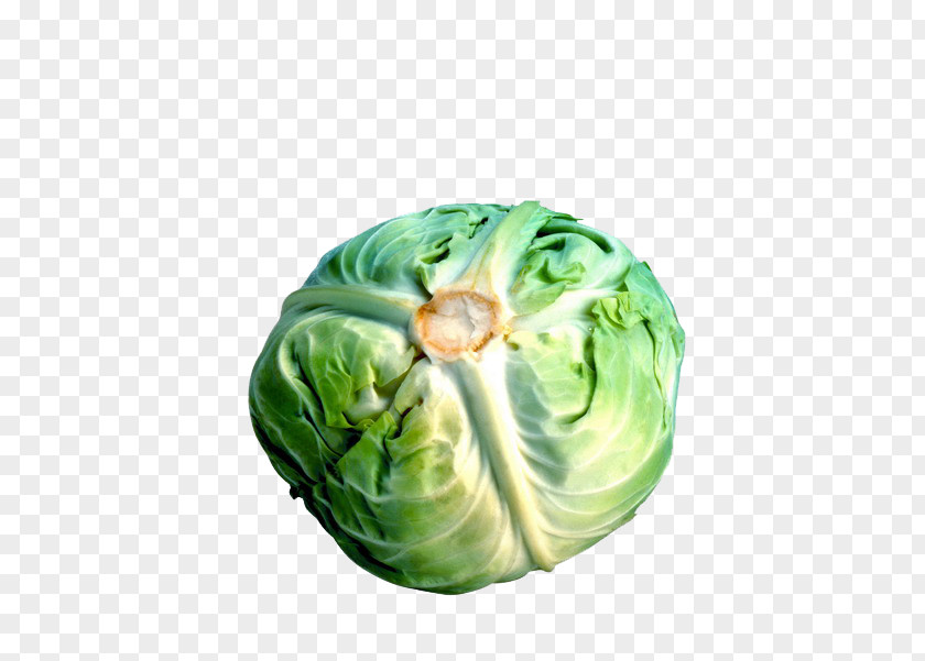 Cabbage Picture Material Cauliflower Broccoli Brussels Sprout Vegetable PNG