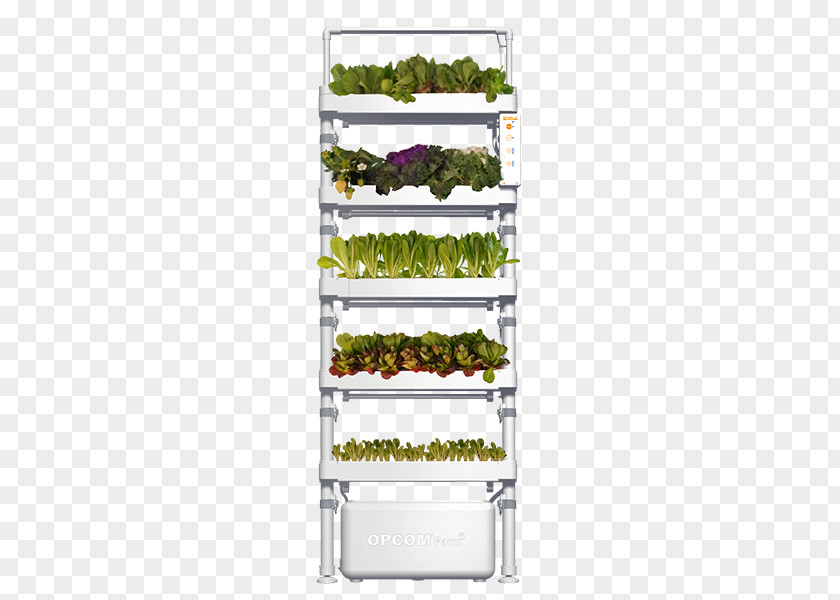 Indoor Hydroponic Grow Boxes Aquaponic Gardening: A Step-By-Step Guide To Raising Vegetables And Fish Together Flowerpot Green Wall Hydroponics PNG