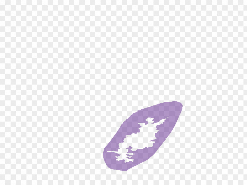 Kidney Lavender Lilac Violet Purple PNG