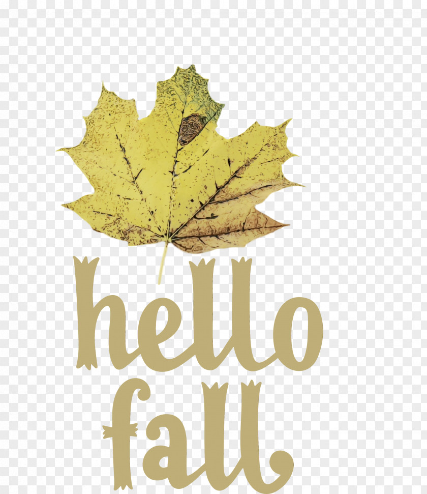 Leaf Maple Leaf / M Font Tree Meter PNG