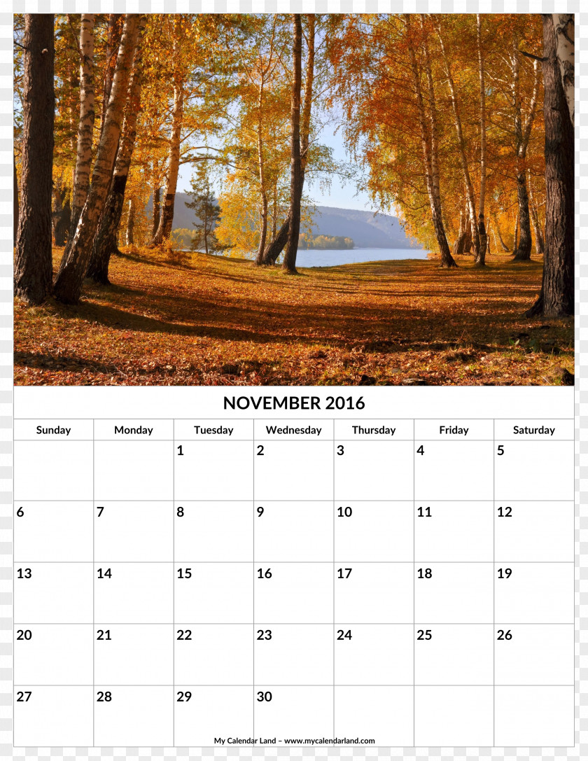 November Calendar Forest Autumn Tree Desktop Wallpaper PNG