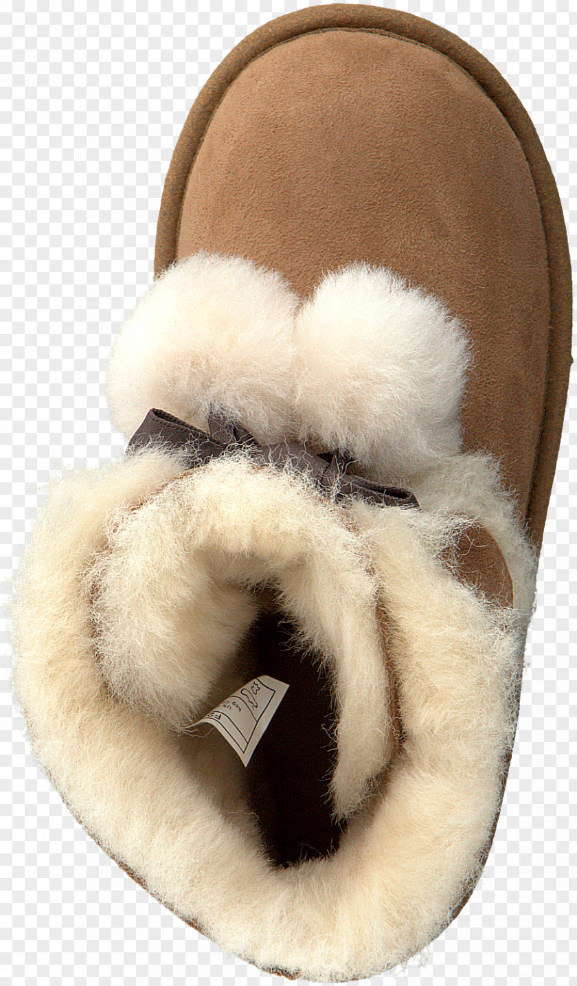 Slipper Fur Clothing Wool PNG