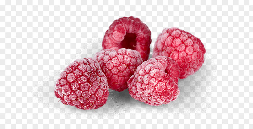 Environmental Protection Vegetable Raspberry Boysenberry Loganberry Tayberry Fruit PNG