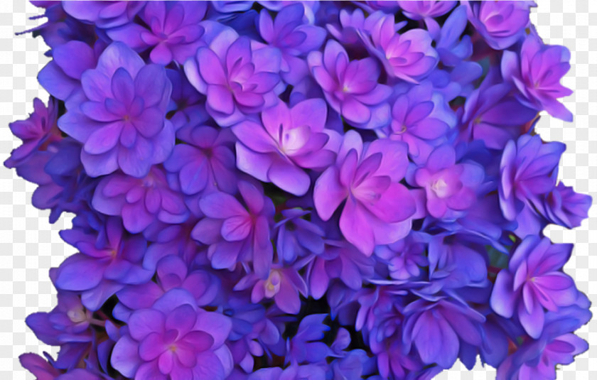 Flower Violet Wreath Blue Purple PNG