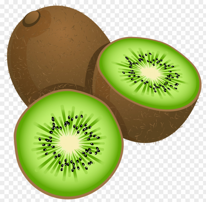 Large Painted Kiwi Frut Clipart Kiwifruit Stock Photography Clip Art PNG