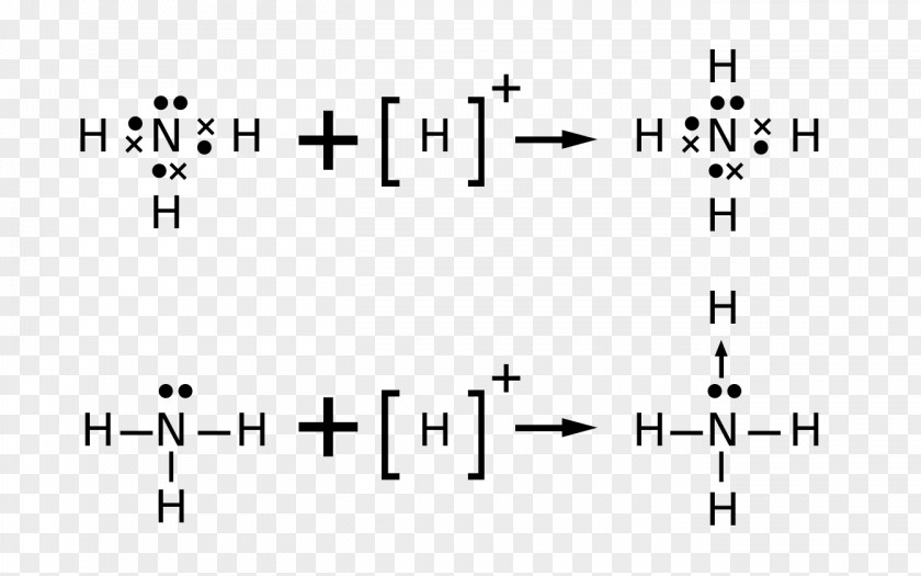 Lewis Acids And Bases Structure Ammonium Ion Chemistry PNG