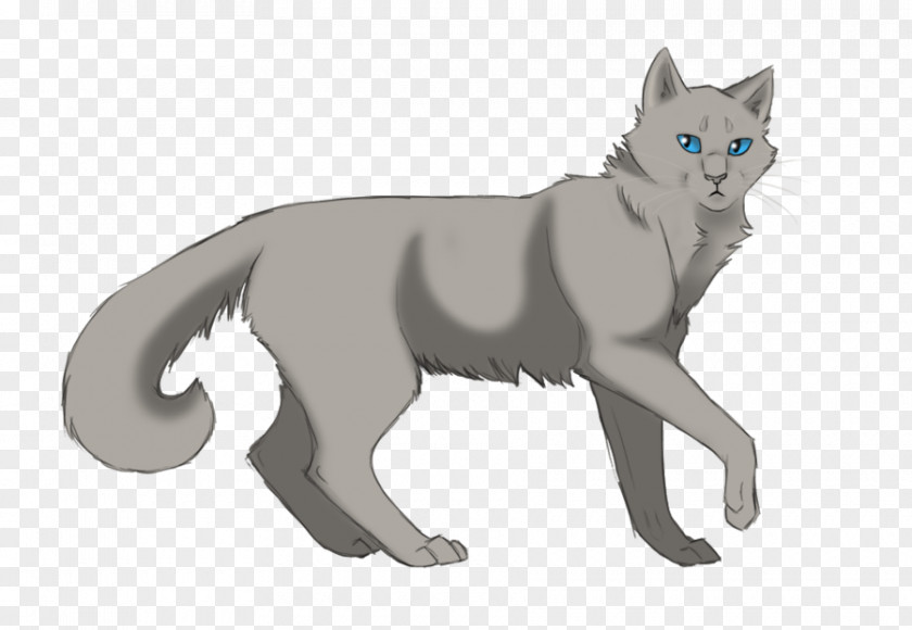 Long Shadows Night Whispers Warriors Dovewing Erin Hunter PNG