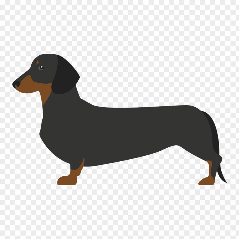 Puppy Dachshund Drever Dog Breed German Spaniel PNG