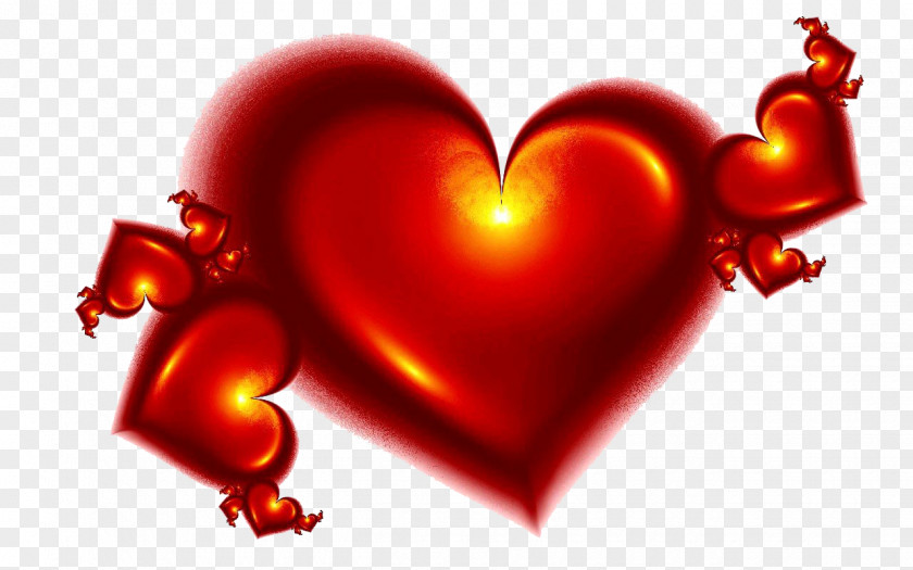 Valentine's Day Romance Love PNG