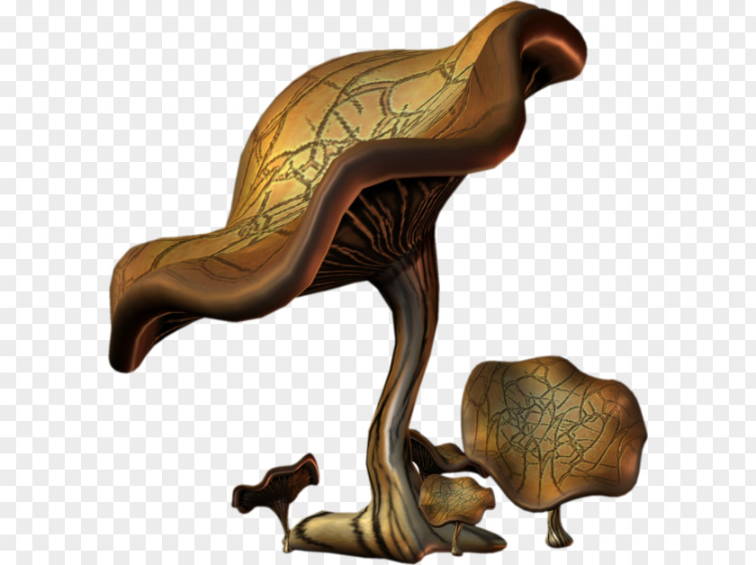 Withered Mushrooms Google Images Download PNG