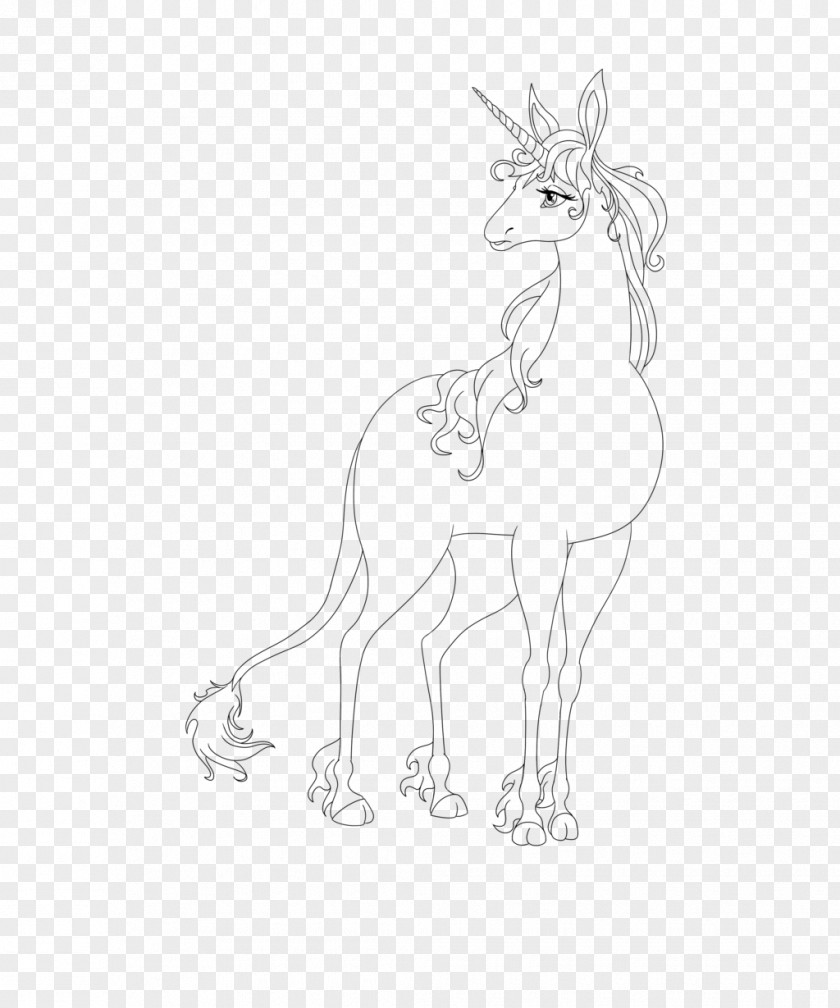 Clean Horse Pony Drawing Black And White Monochrome PNG