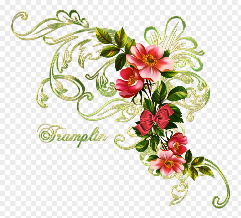 Flower Picture Frames Digital Image PNG