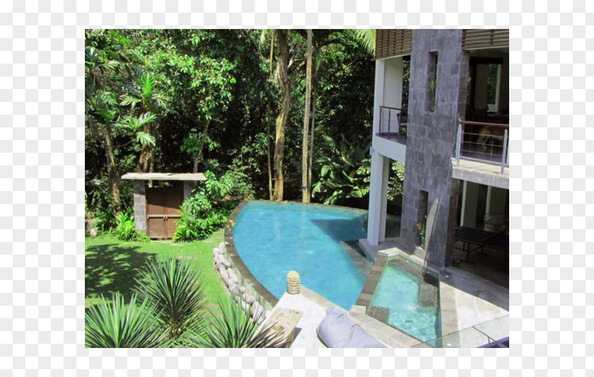 Luxurious And Gorgeous Backyard Majorelle Blue Garden Swimming Pool PNG