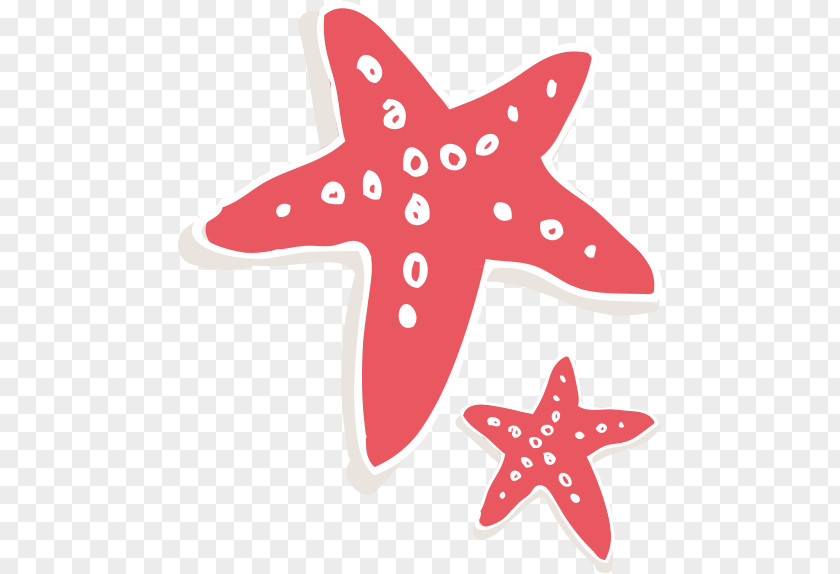 Starfish Euclidean Vector Cartoon PNG