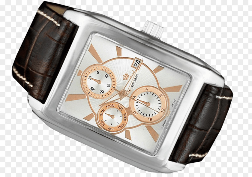 Watch Strap Metal PNG