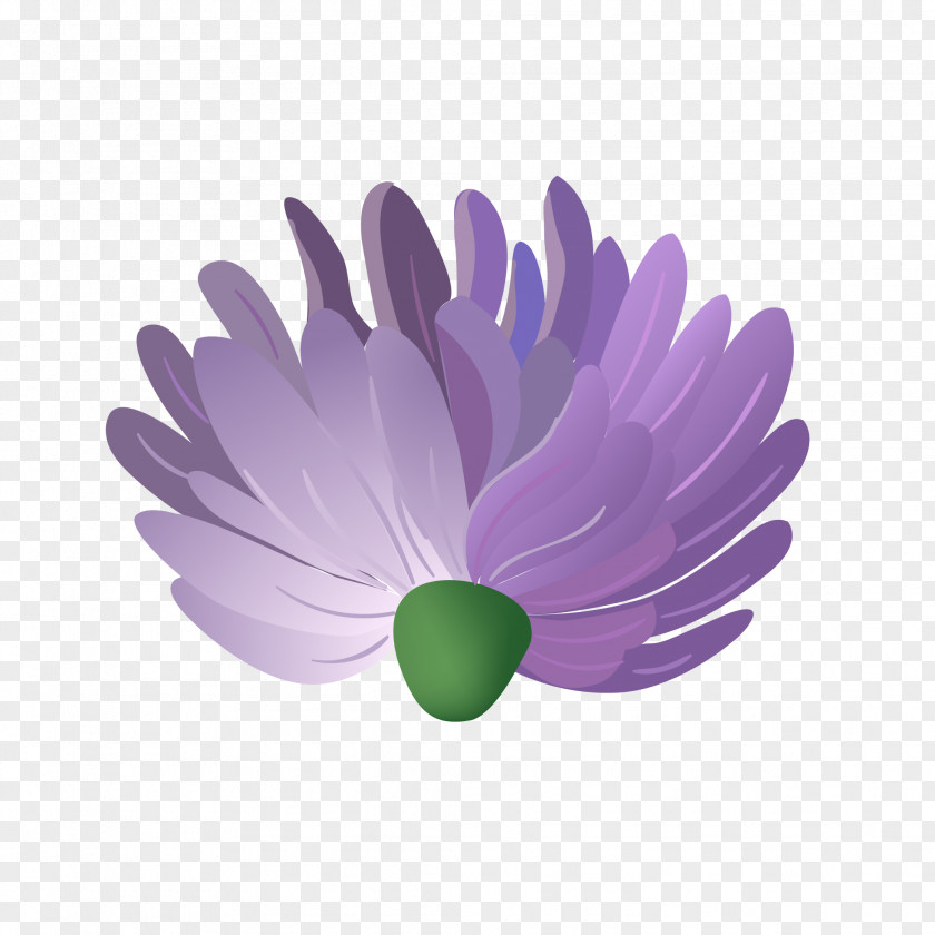 Beautiful Flowers Purple Flower Petal Color Blue PNG
