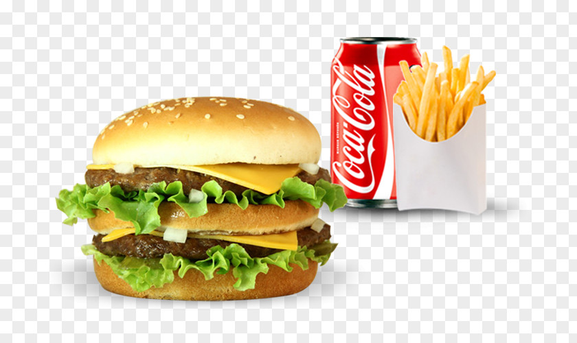 Burger And Sandwich Pizza Hamburger Fast Food Panini French Fries PNG