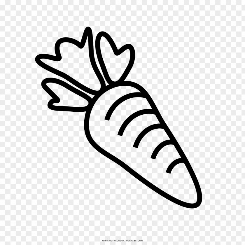 Carrot Coloring Book Drawing Clip Art PNG