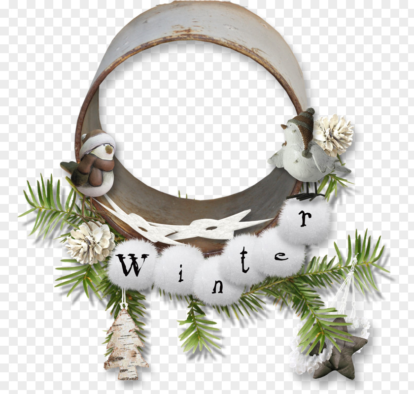 Christmas Ornament Pine Family PNG