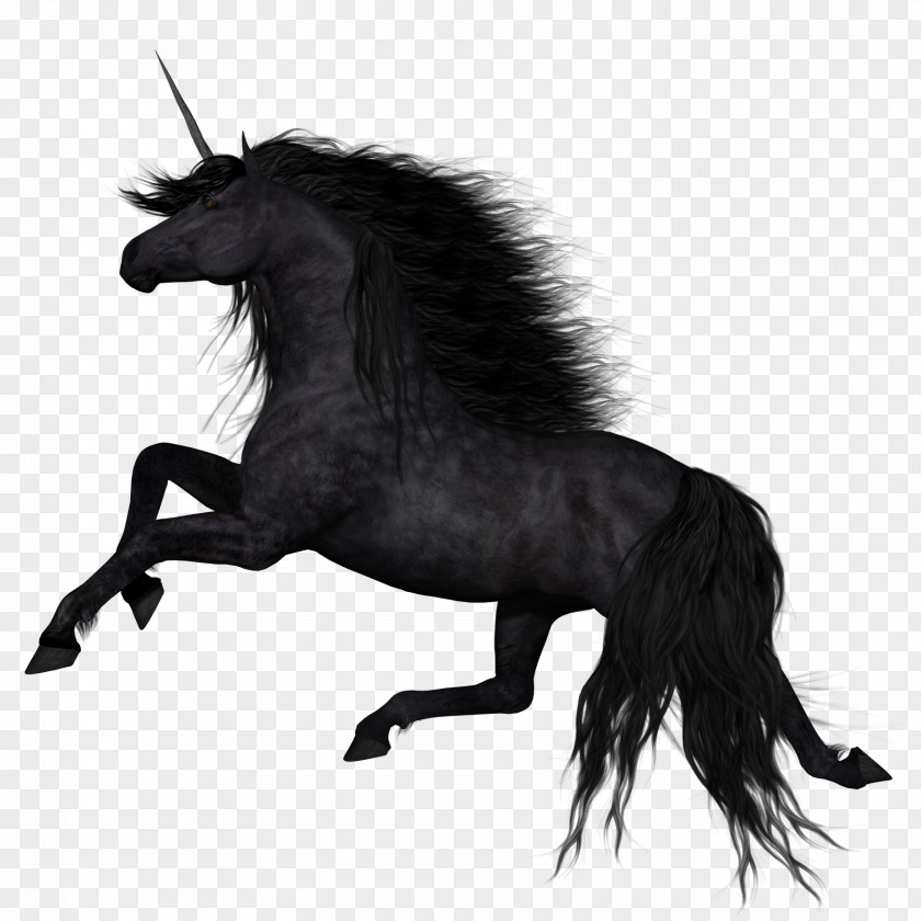 Dark Horse Unicorn Clip Art PNG
