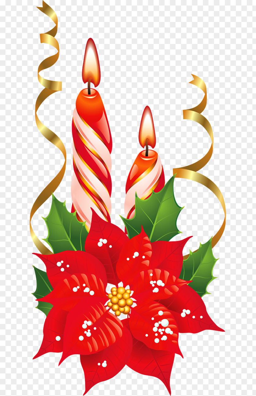 Red And White Christmas Candles With Poinsettia Picture Flower Clip Art PNG