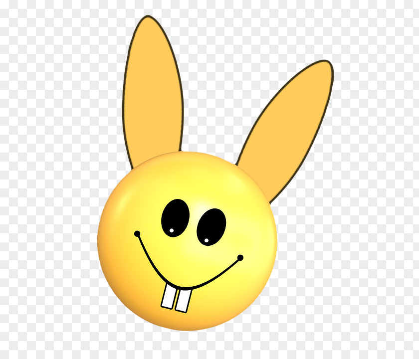 Smiley Easter Bunny Hare Bye School PNG