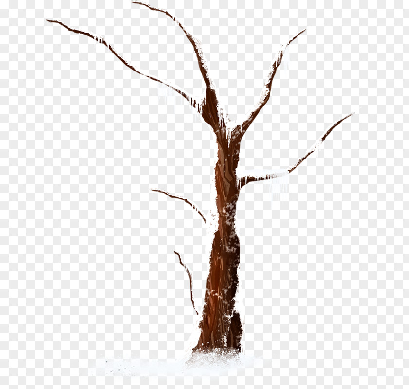 Winter Snow Tree Image PNG
