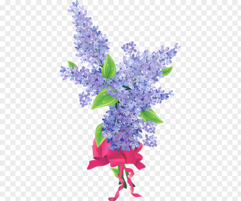 Flower Common Lilac PNG