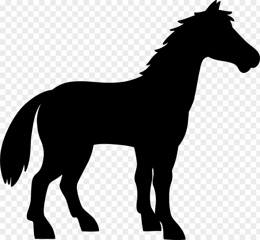 Mule Vector Graphics Donkey Silhouette Image PNG