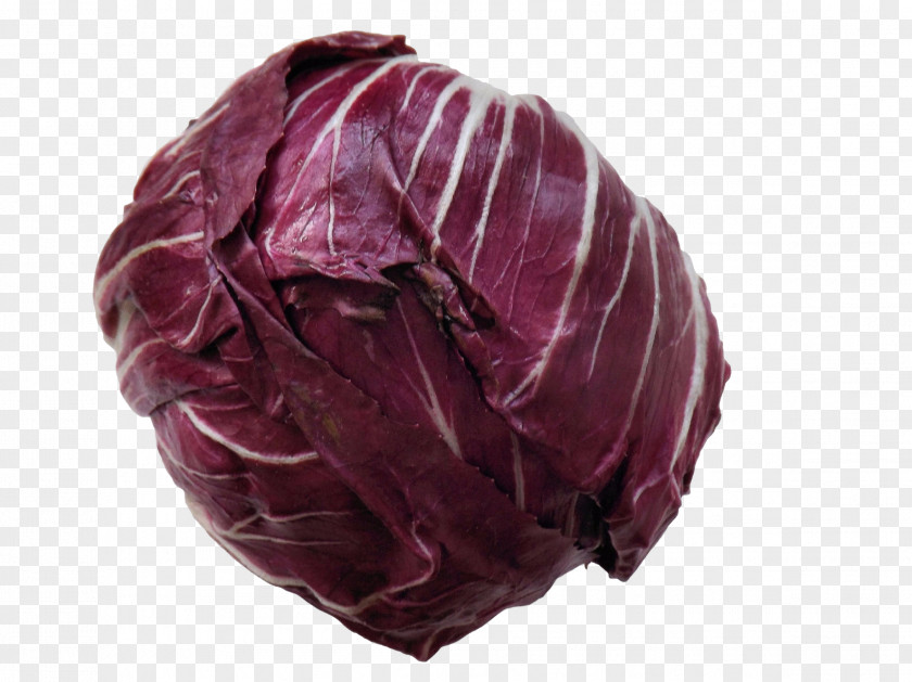 Cabbage Leaf Vegetable Food Chicory Salad PNG