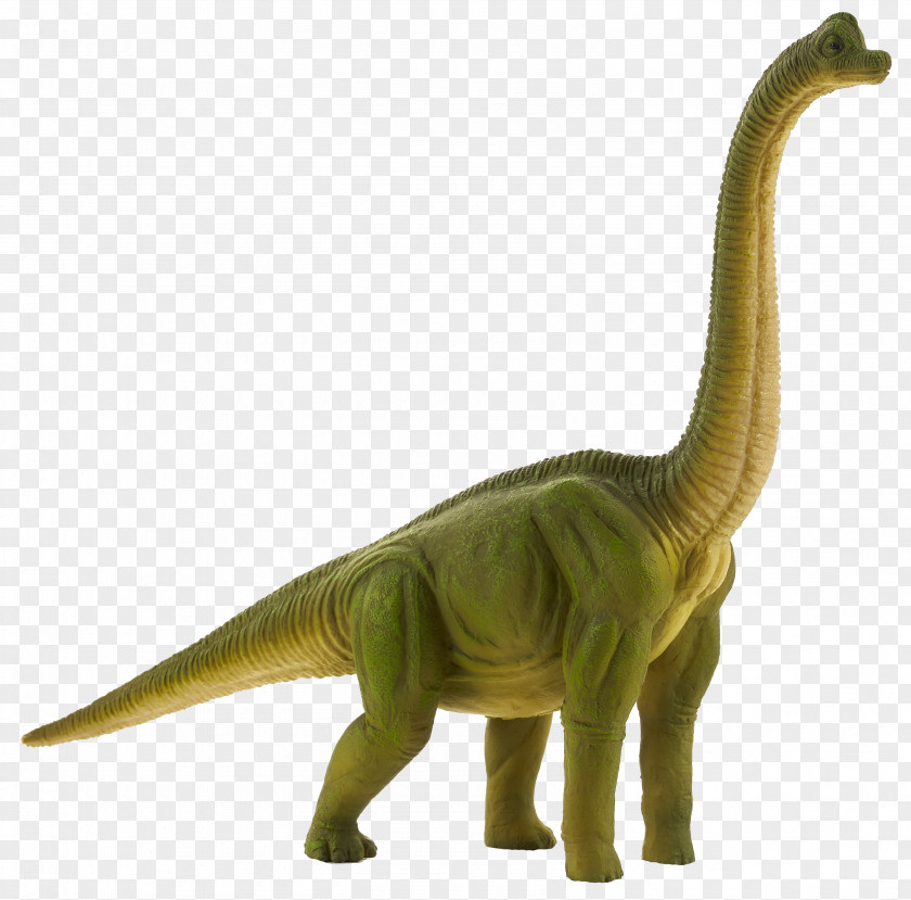 Dinosaur Tyrannosaurus Brachiosaurus Diplodocus Apatosaurus PNG