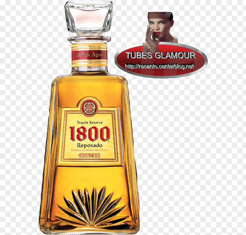 Drink Liqueur 1800 Tequila Distilled Beverage Whiskey PNG