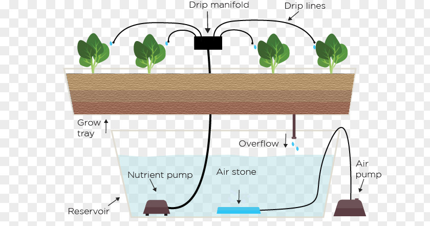 Drip Irrigation Hydroponics Ebb And Flow Garden Agriculture PNG