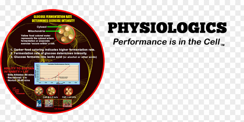 Health Physiologics Exercise Physiology Brand PNG