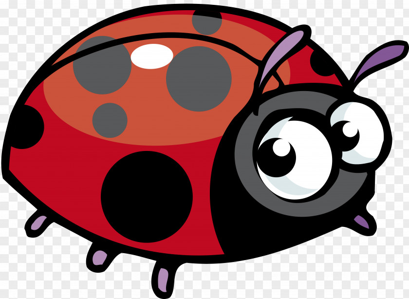 Ladybird Insect Funny Beetle Game Clip Art PNG